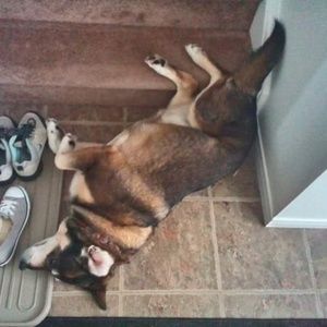 Meet your Posher, Jan